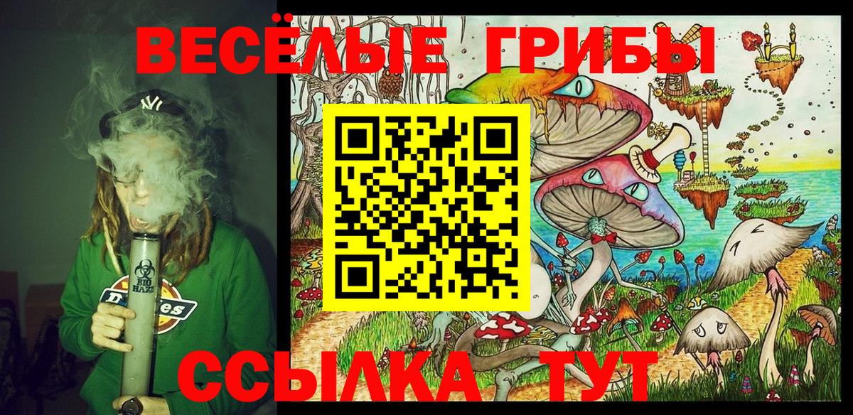 Кандалакша  Галлюциногенные грибы GOLDEN TEACHER  цена наркотик  Вход с VPN  Галлюциногенные грибы мицелий 