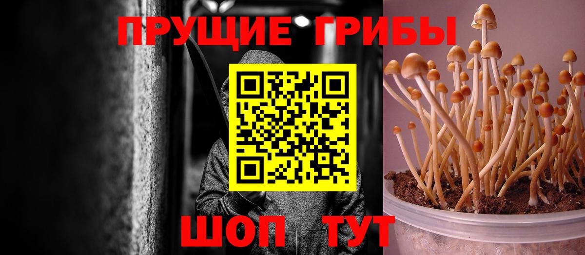Галлюциногенные грибы Magic Shrooms Кандалакша
